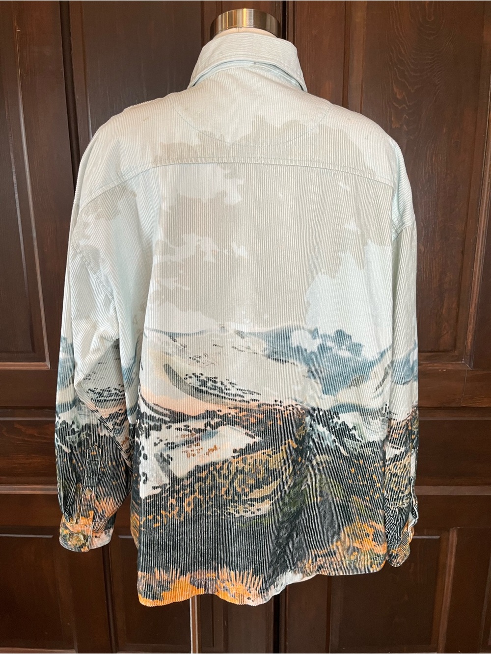 BDG Urban Outfitters Mountain Landscape Corduroy Shirt Western Long Sleeve Sz L - Picture 10 of 13